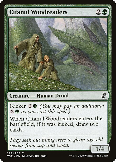 Citanul Woodreaders 199