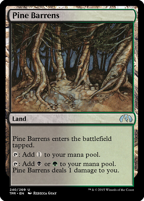 Pine Barrens 240
