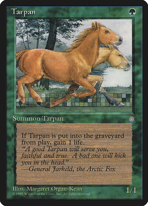 Tarpan 267