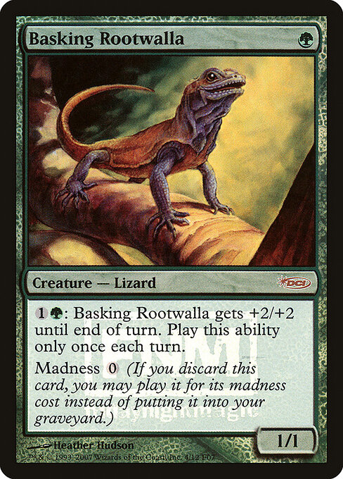 Basking Rootwalla 4