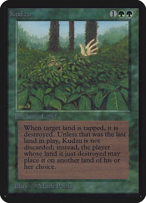 Kudzu 204