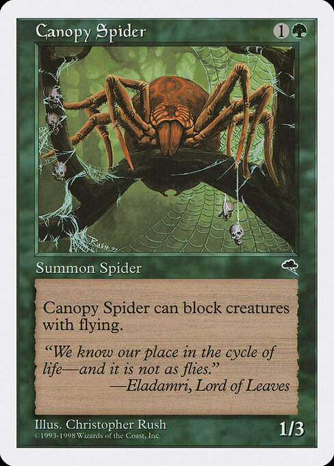 Canopy Spider 52