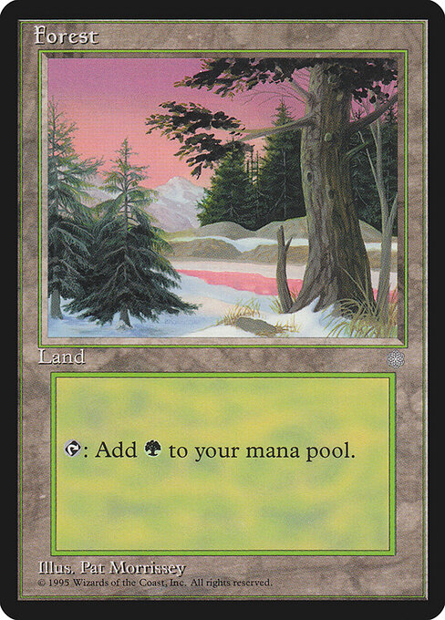 Forest 381
