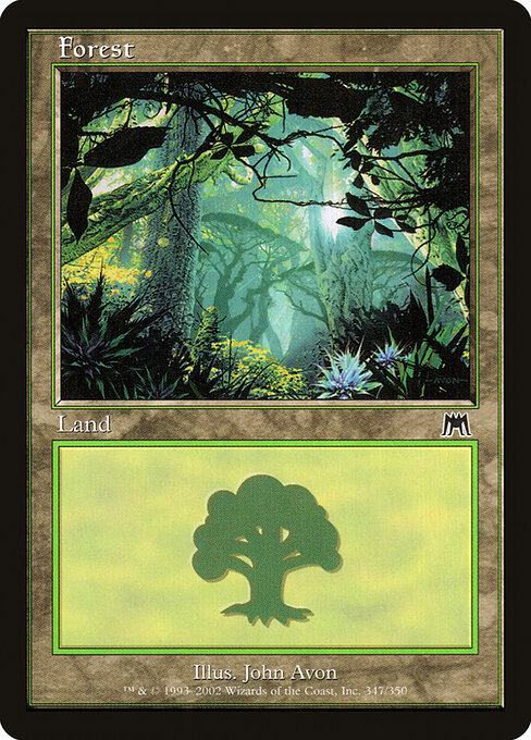 Forest 347