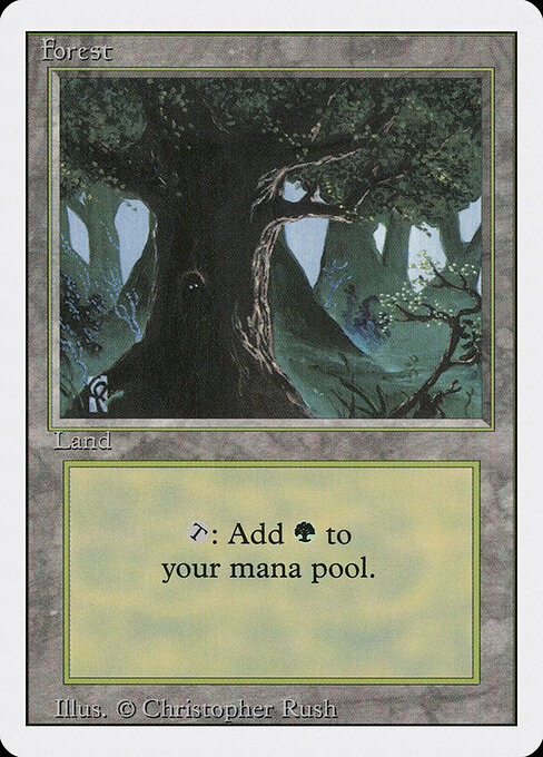Forest 306