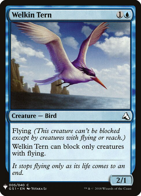 Welkin Tern GS1-5