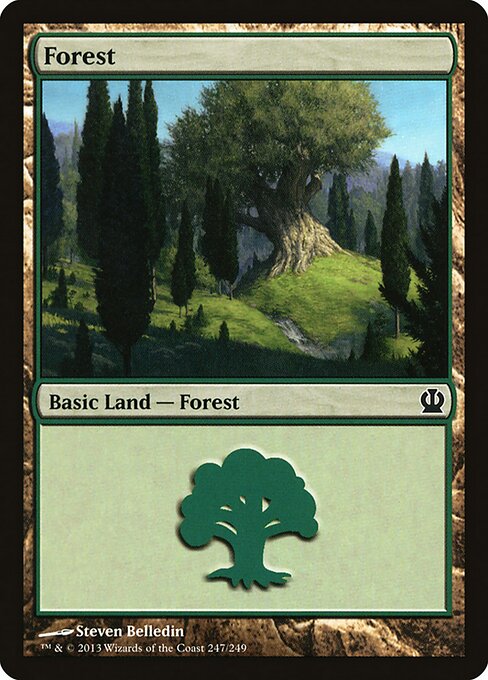 Forest 247