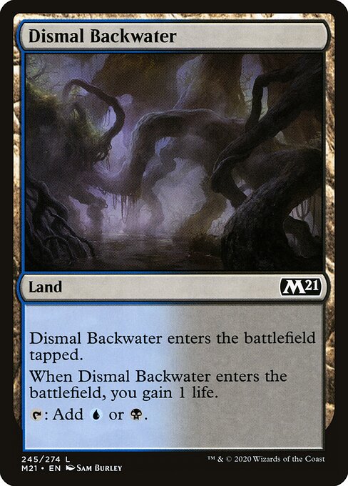 Dismal Backwater 245