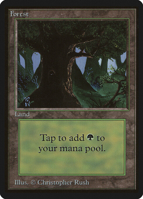 Forest 302