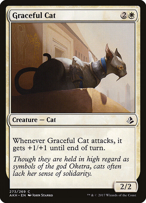 Graceful Cat 273