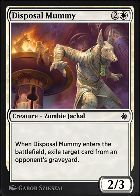 Disposal Mummy 14