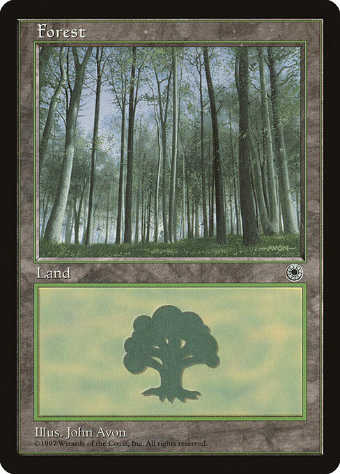 Forest 215
