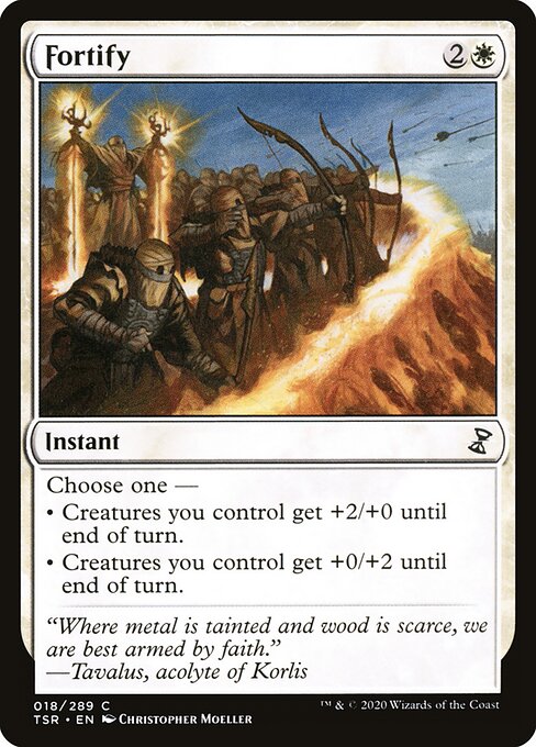 Fortify 18