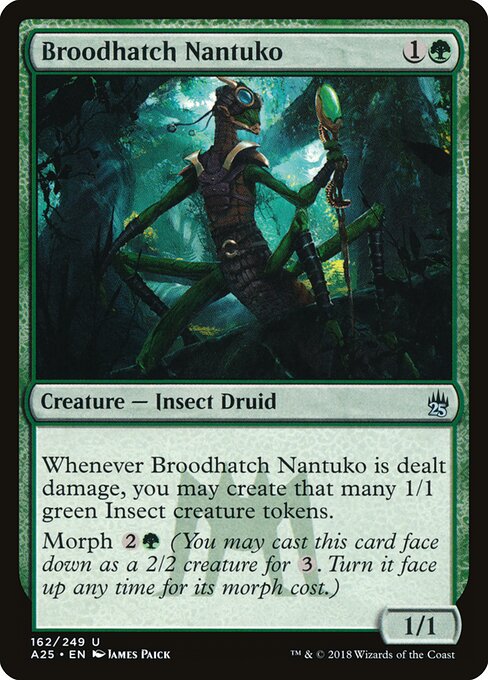Broodhatch Nantuko 162