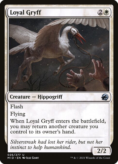 Loyal Gryff 26