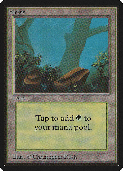 Forest 300
