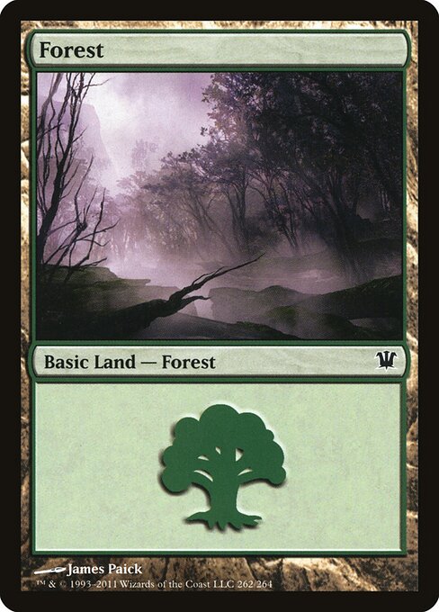Forest 262