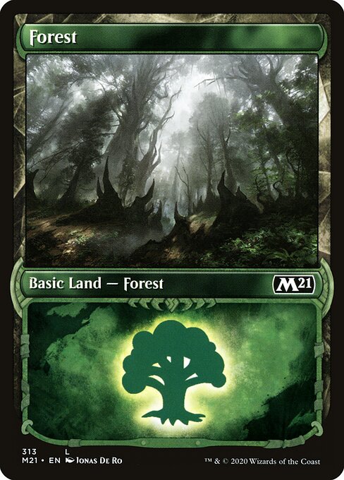 Forest 313
