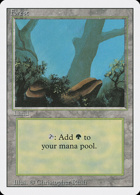 Forest 304