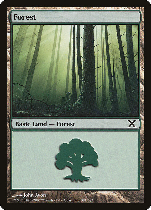 Forest 381