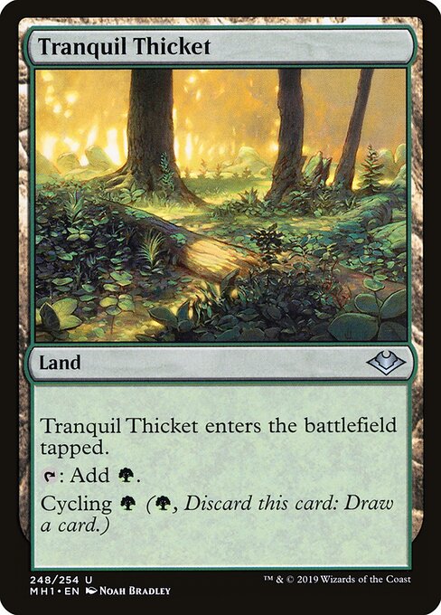Tranquil Thicket 248