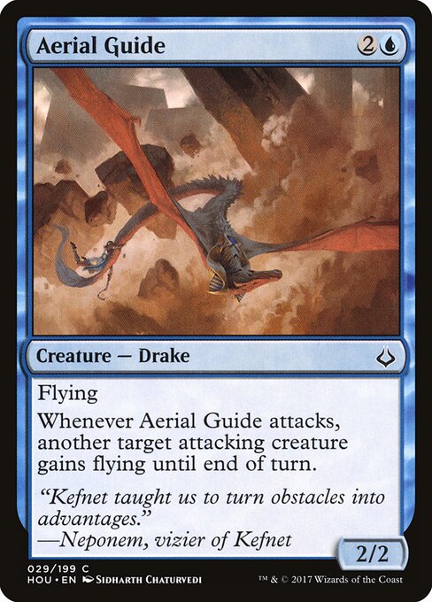 Aerial Guide 29