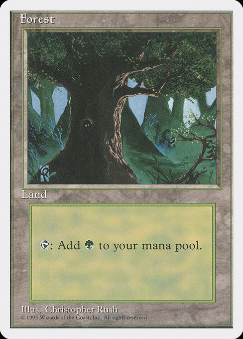 Forest 378