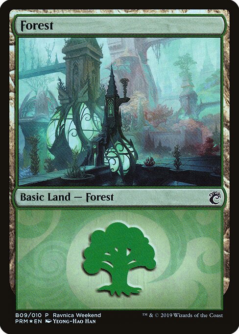 Forest B09
