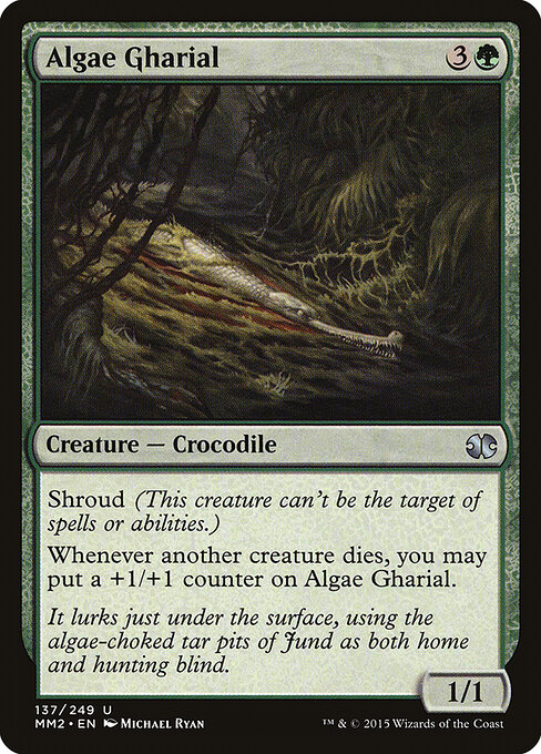 Algae Gharial 137