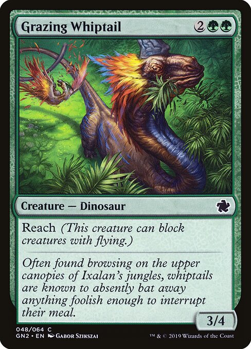 Grazing Whiptail 48