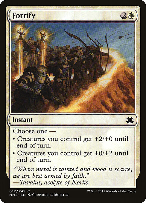 Fortify 17