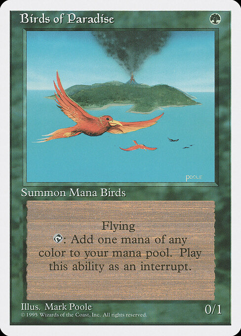 Birds of Paradise 234