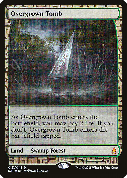 Overgrown Tomb 13