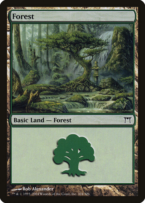 Forest 304