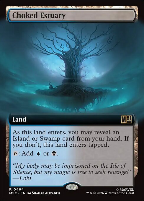 Choked Estuary 464