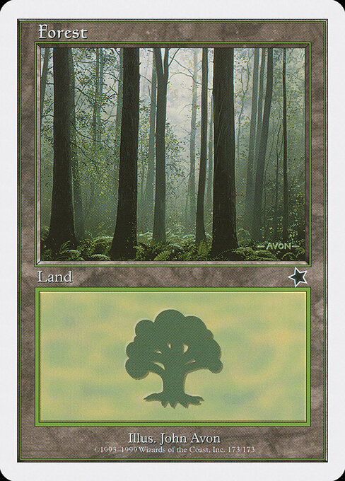 Forest 173