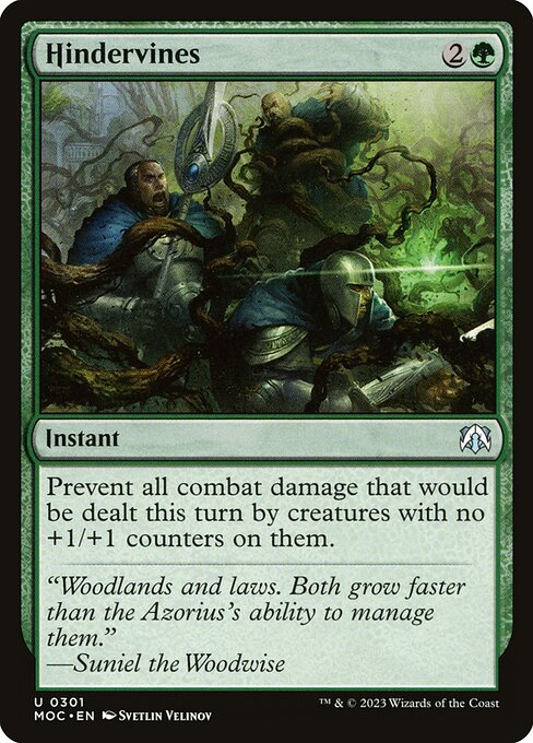 Hindervines 301