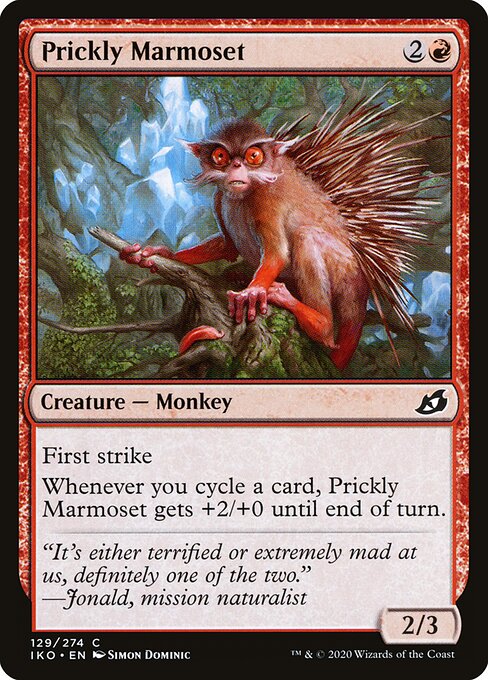 Prickly Marmoset 129