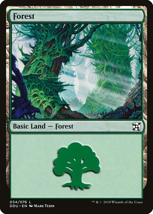 Forest 34