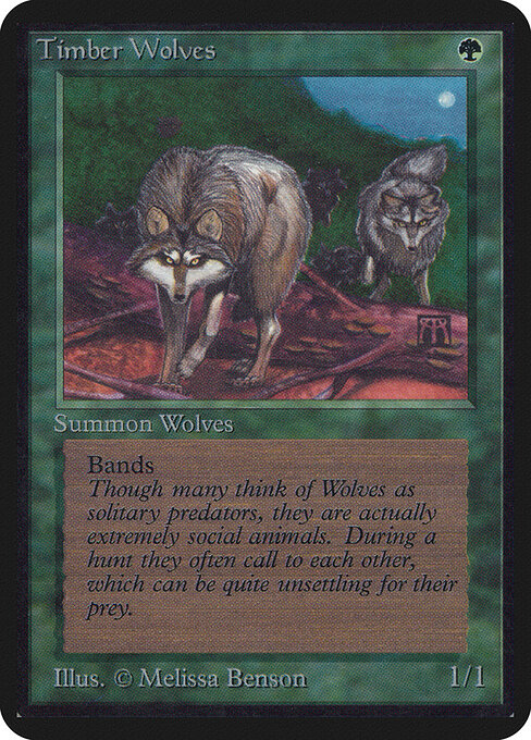 Timber Wolves 219
