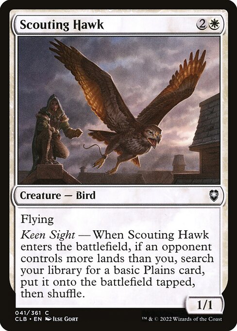 Scouting Hawk 41