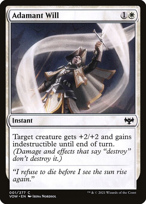 Adamant Will 1