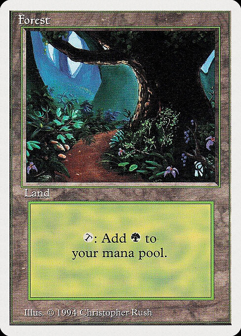Forest 305
