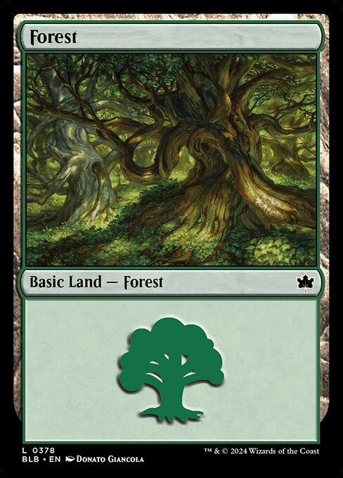 Forest 378