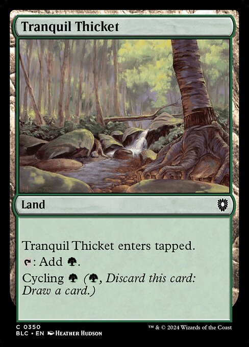 Tranquil Thicket 350