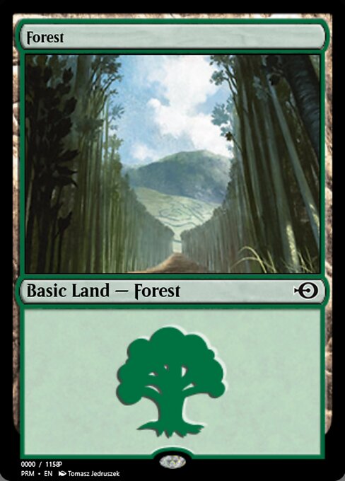 Forest 81904