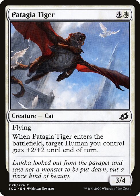 Patagia Tiger 26