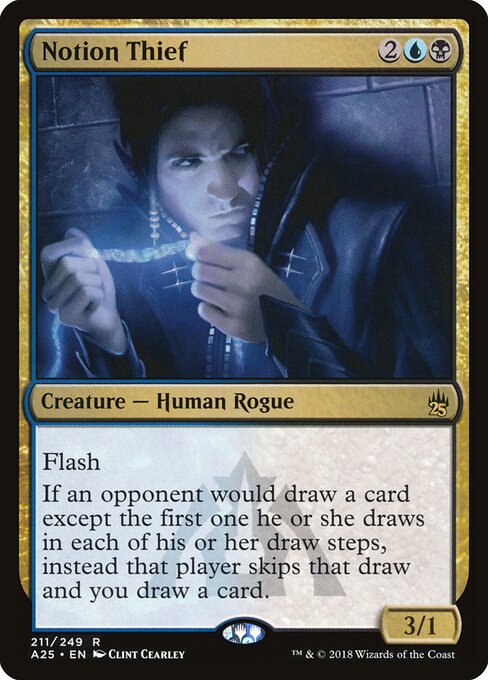 Notion Thief 211