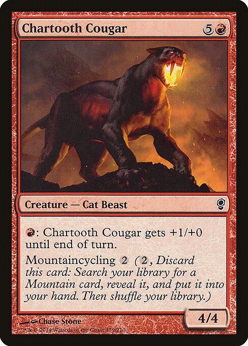 Chartooth Cougar 139