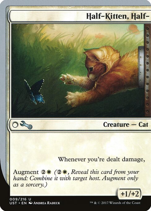 Half-Kitten, Half- 9